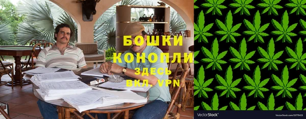 сатива Пролетарск