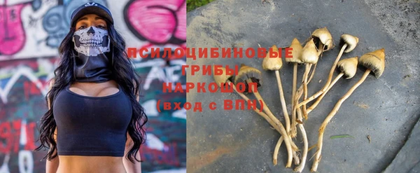 сатива Пролетарск