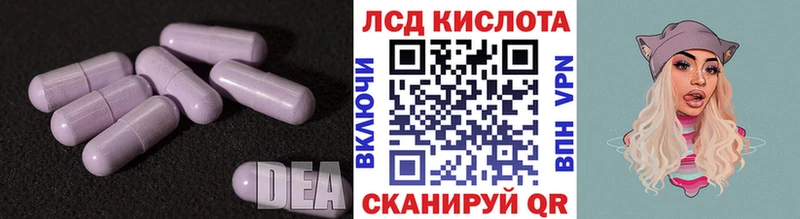 Купить закладки  Славгород  LSD-25 экстази кислота 