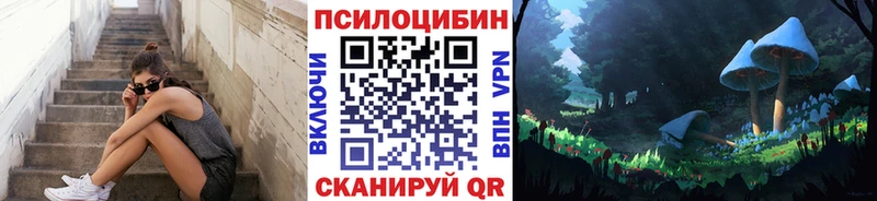 Купить  Славгород  Псилоцибиновые грибы мухоморы 