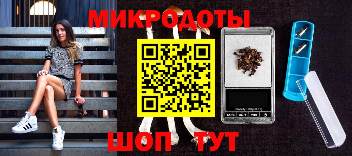 Галлюциногенные грибы MAGIC MUSHROOMS  Вход с VPN  Славгород 