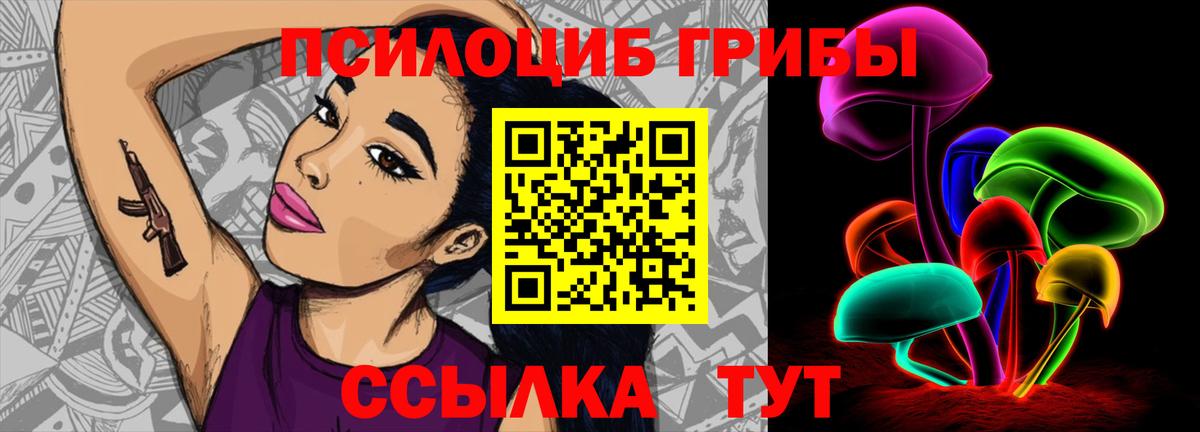 Галлюциногенные грибы прущие грибы Славгород
