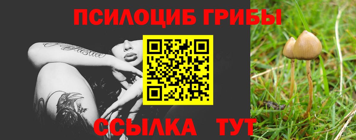 что такое наркотик  Славгород  Галлюциногенные грибы прущие грибы 