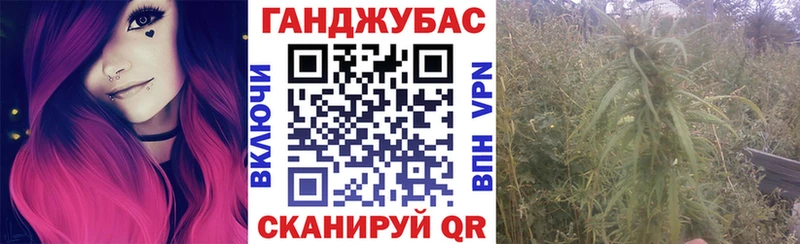 Каннабис марихуана  Купить закладки  Славгород 